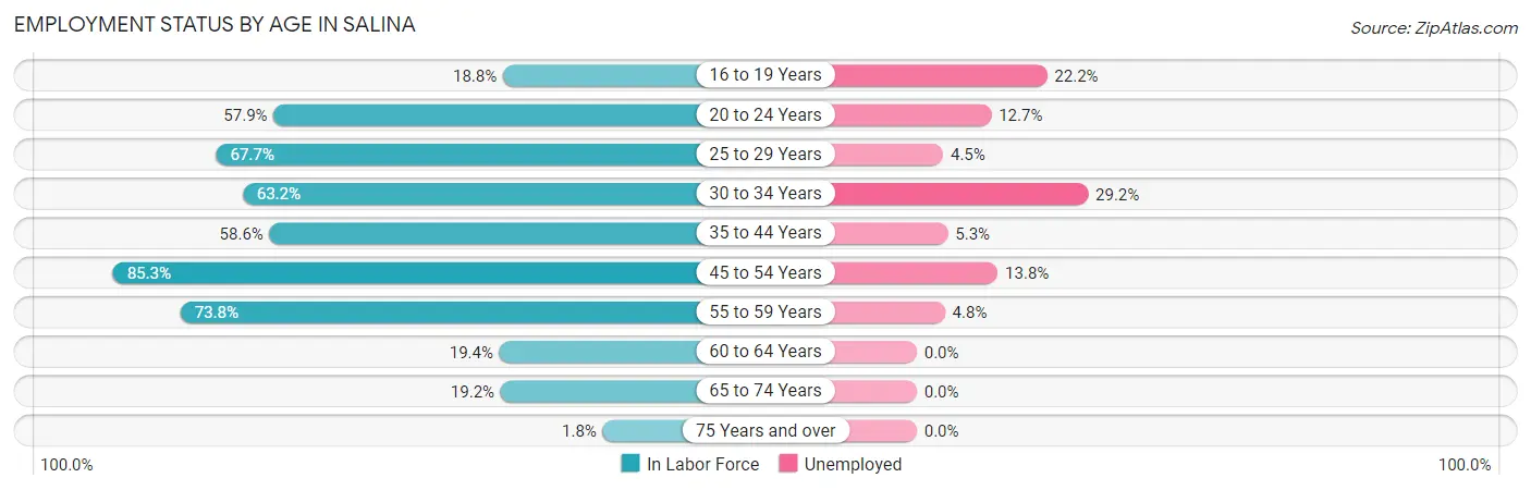 Employment Status by Age in Salina