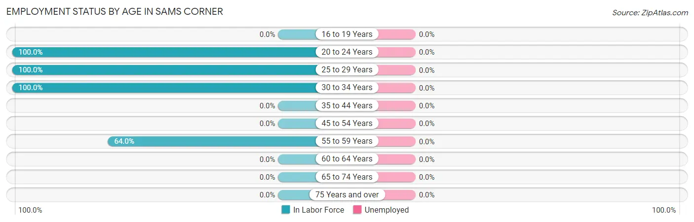 Employment Status by Age in Sams Corner