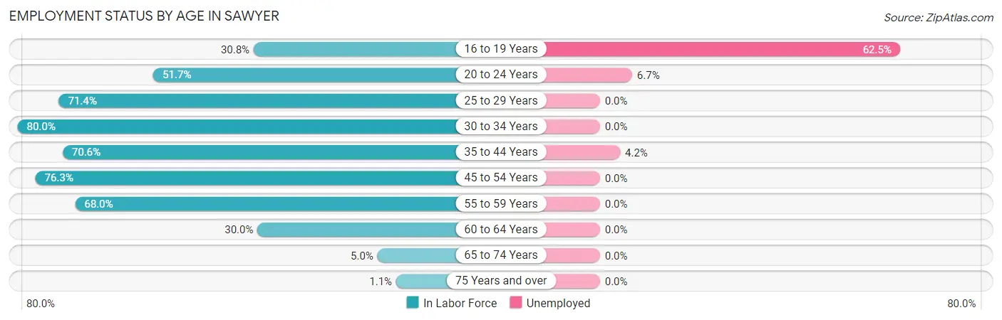 Employment Status by Age in Sawyer