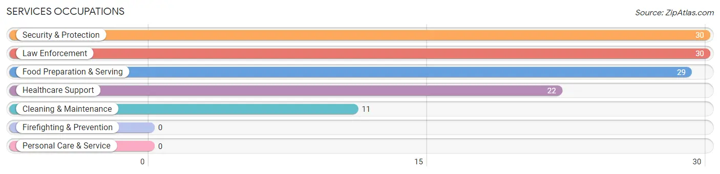 Services Occupations in Sayre