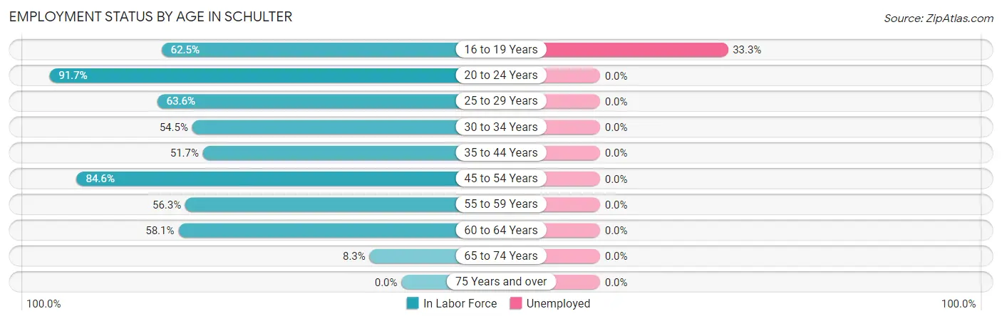 Employment Status by Age in Schulter