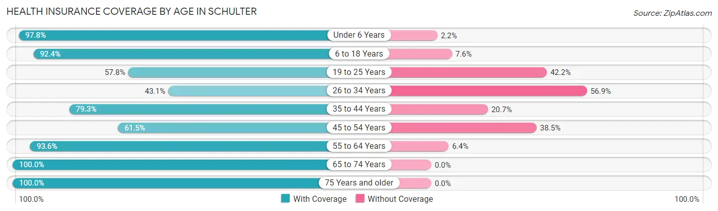 Health Insurance Coverage by Age in Schulter