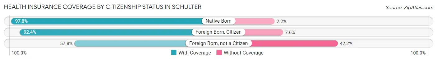 Health Insurance Coverage by Citizenship Status in Schulter