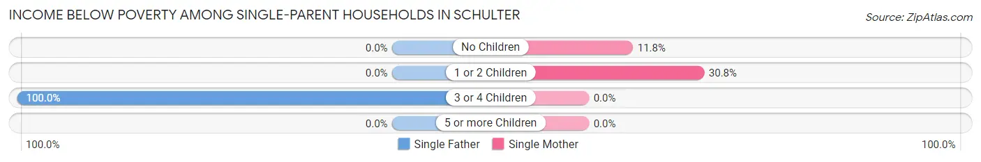 Income Below Poverty Among Single-Parent Households in Schulter