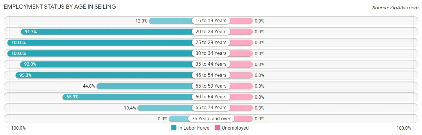 Employment Status by Age in Seiling
