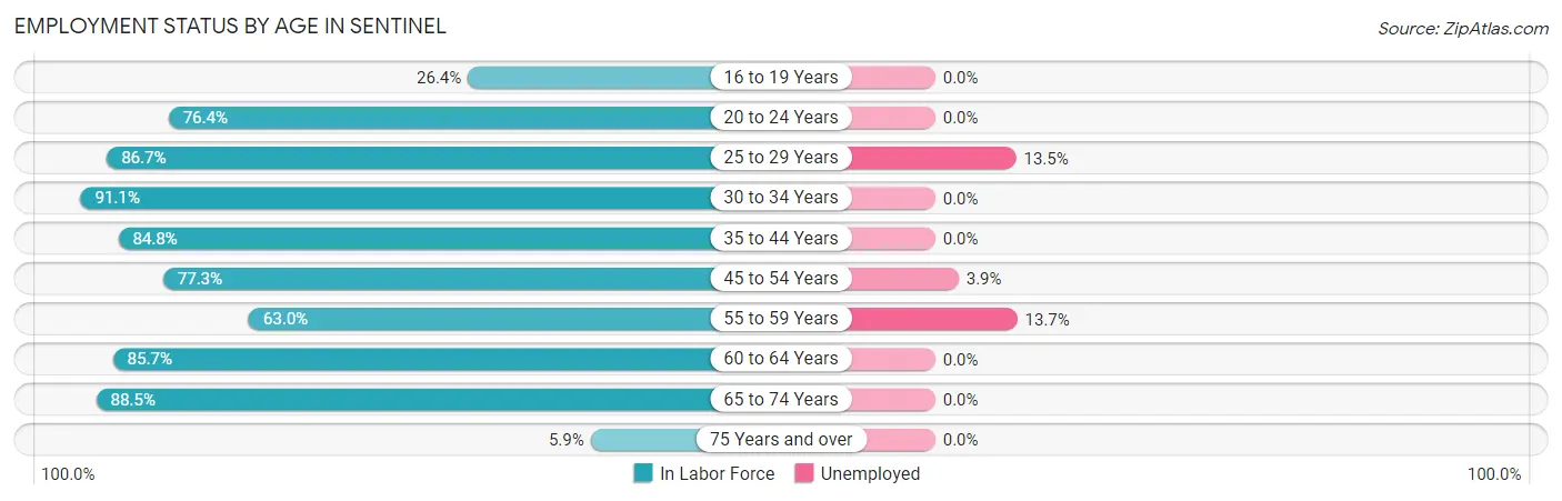 Employment Status by Age in Sentinel