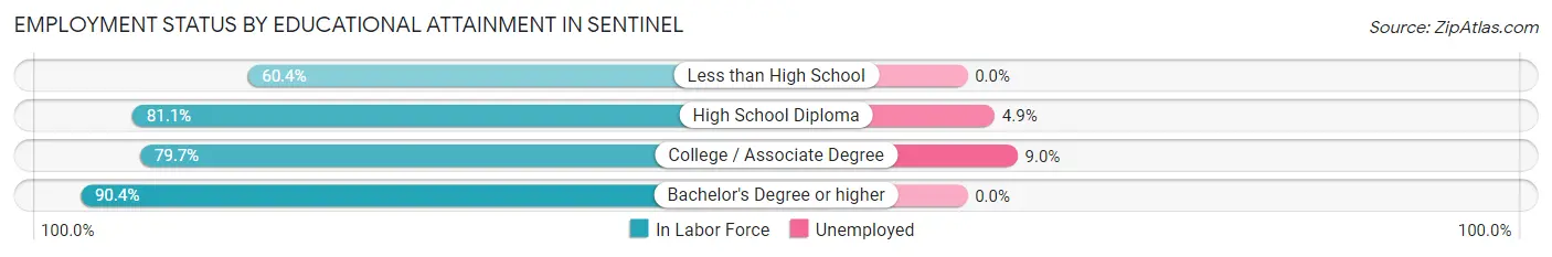Employment Status by Educational Attainment in Sentinel