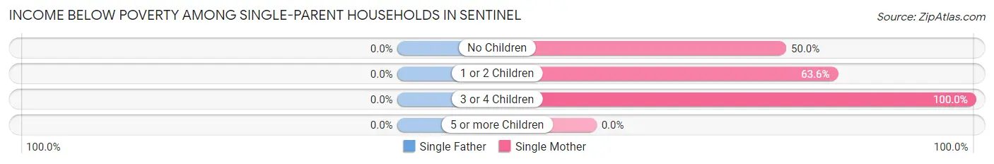 Income Below Poverty Among Single-Parent Households in Sentinel