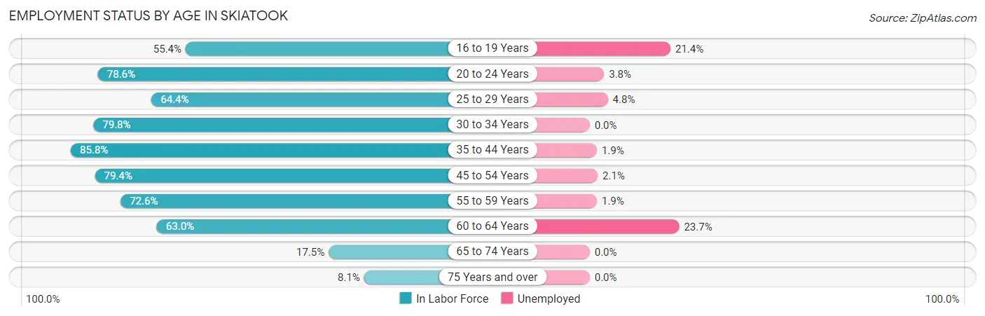 Employment Status by Age in Skiatook