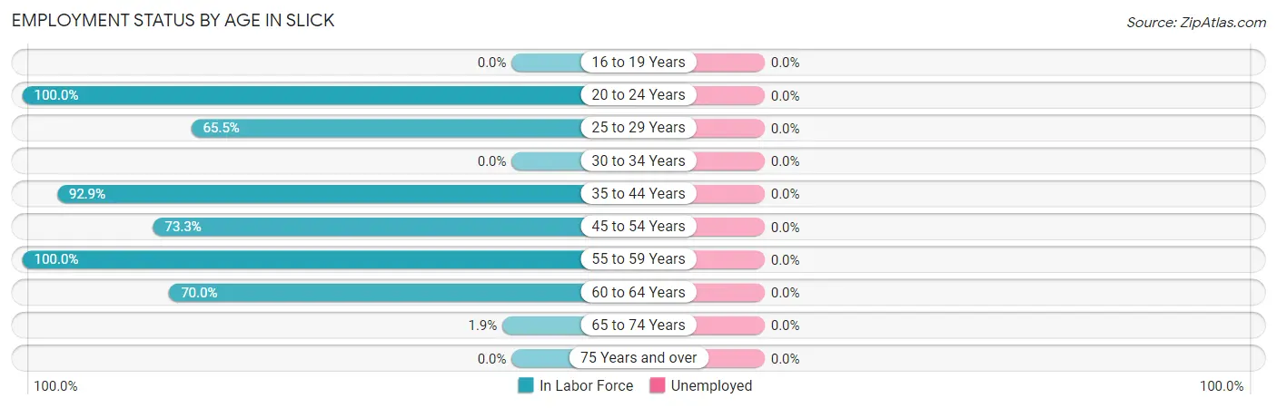 Employment Status by Age in Slick