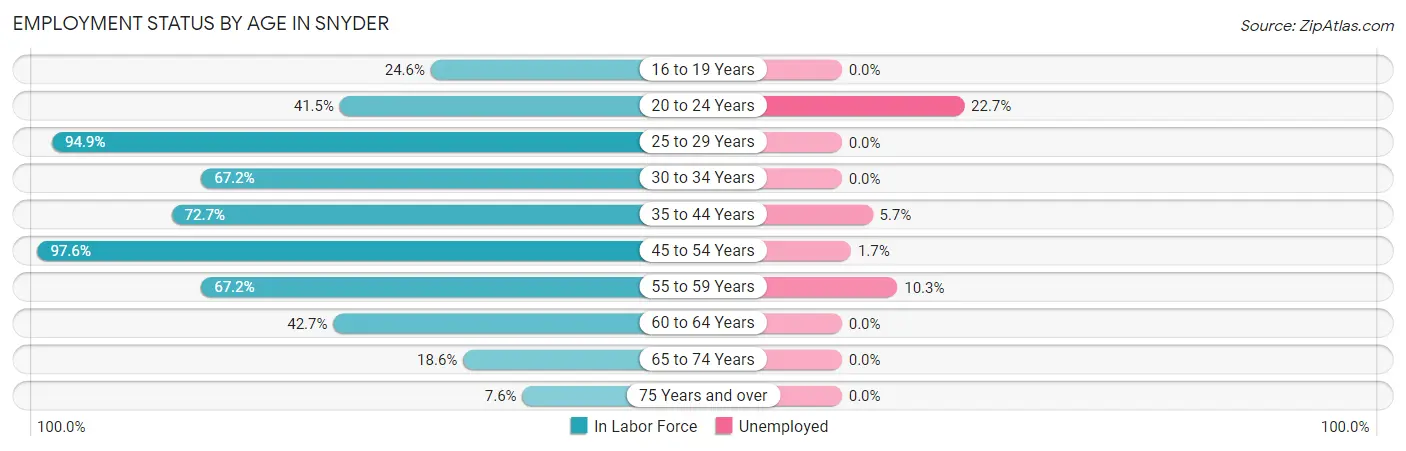 Employment Status by Age in Snyder
