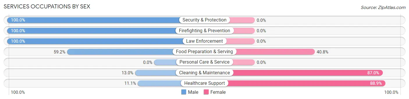Services Occupations by Sex in Spencer