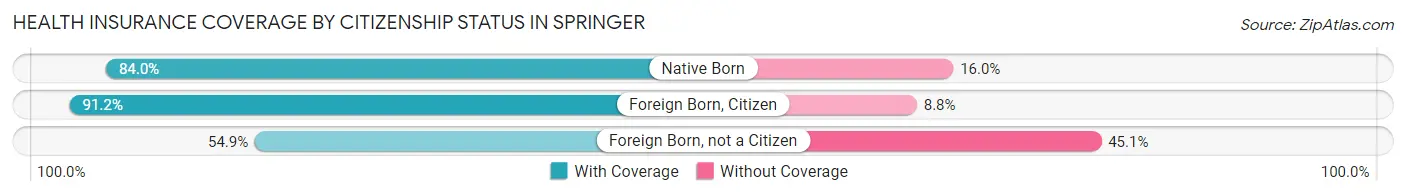 Health Insurance Coverage by Citizenship Status in Springer