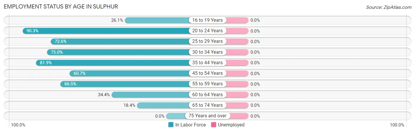 Employment Status by Age in Sulphur