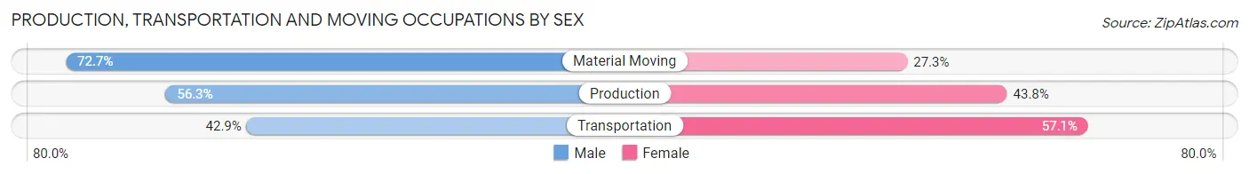 Production, Transportation and Moving Occupations by Sex in Talala