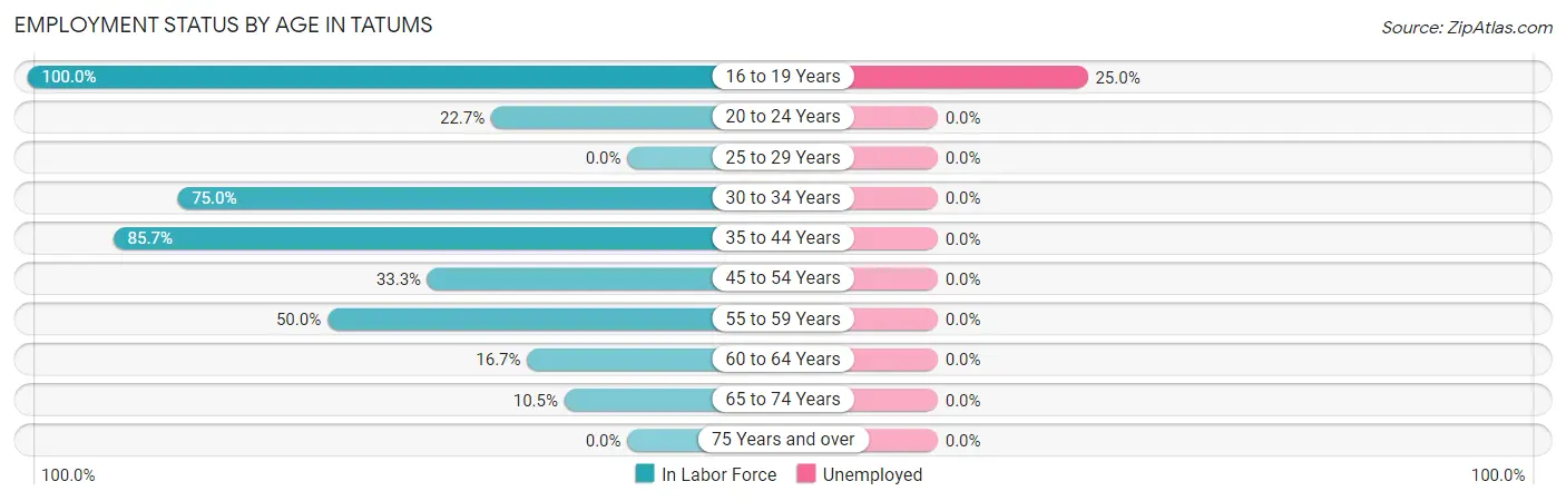 Employment Status by Age in Tatums