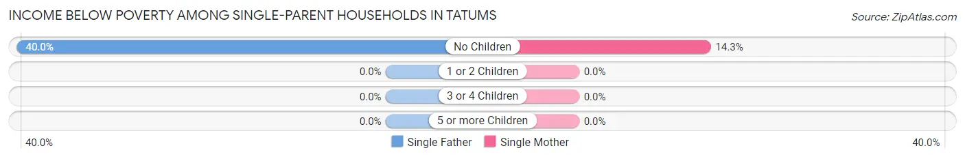 Income Below Poverty Among Single-Parent Households in Tatums