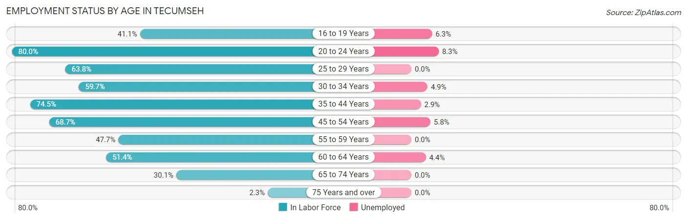 Employment Status by Age in Tecumseh
