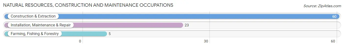 Natural Resources, Construction and Maintenance Occupations in Thomas