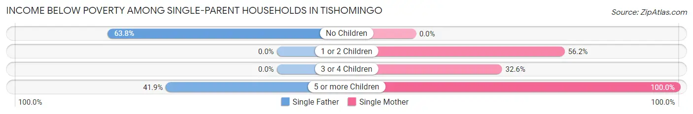 Income Below Poverty Among Single-Parent Households in Tishomingo