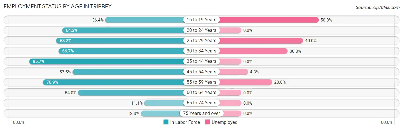 Employment Status by Age in Tribbey