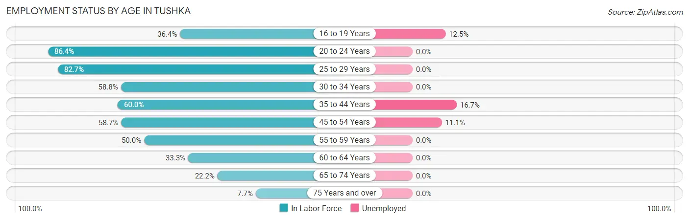 Employment Status by Age in Tushka