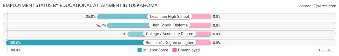 Employment Status by Educational Attainment in Tuskahoma