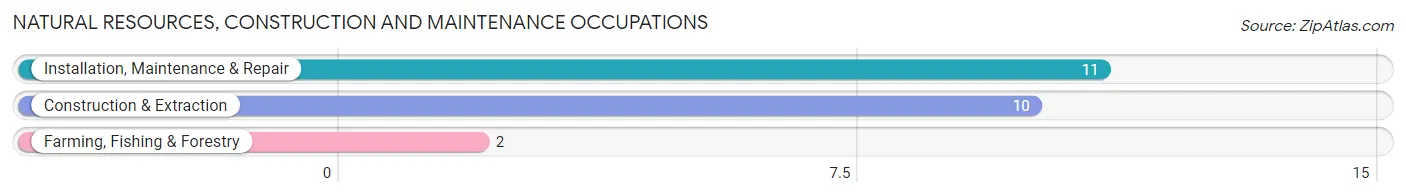 Natural Resources, Construction and Maintenance Occupations in Verden