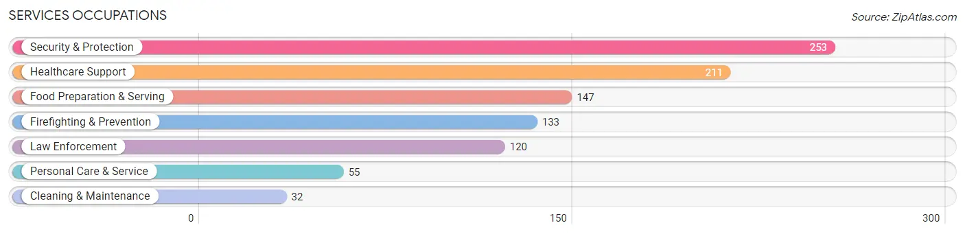 Services Occupations in Wagoner