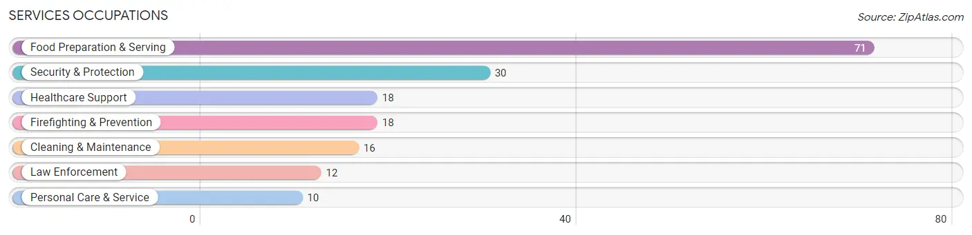 Services Occupations in Walters