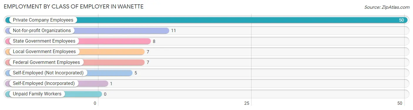 Employment by Class of Employer in Wanette