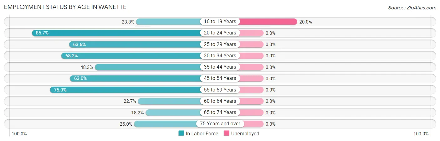 Employment Status by Age in Wanette