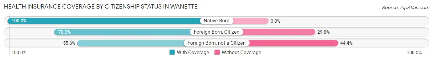 Health Insurance Coverage by Citizenship Status in Wanette