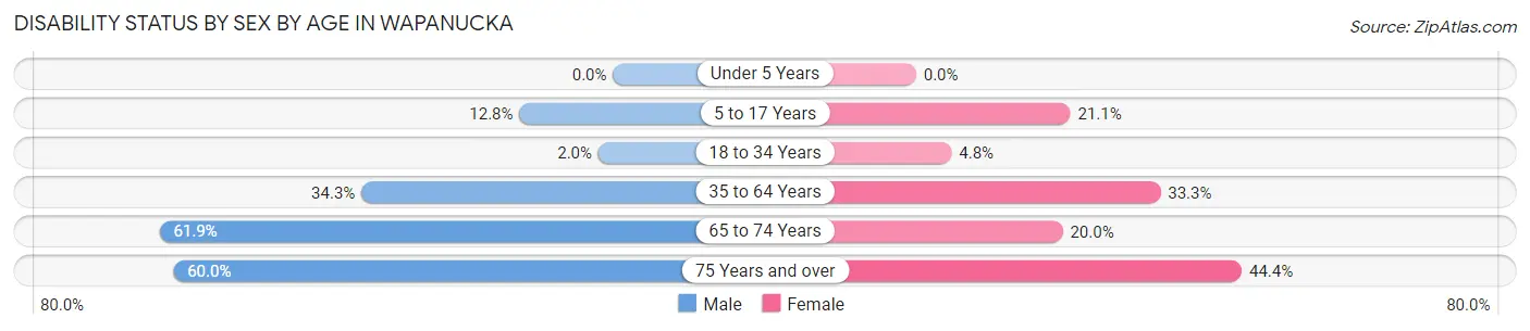 Disability Status by Sex by Age in Wapanucka