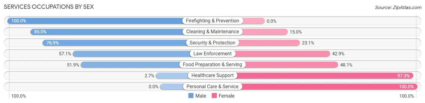 Services Occupations by Sex in Warner