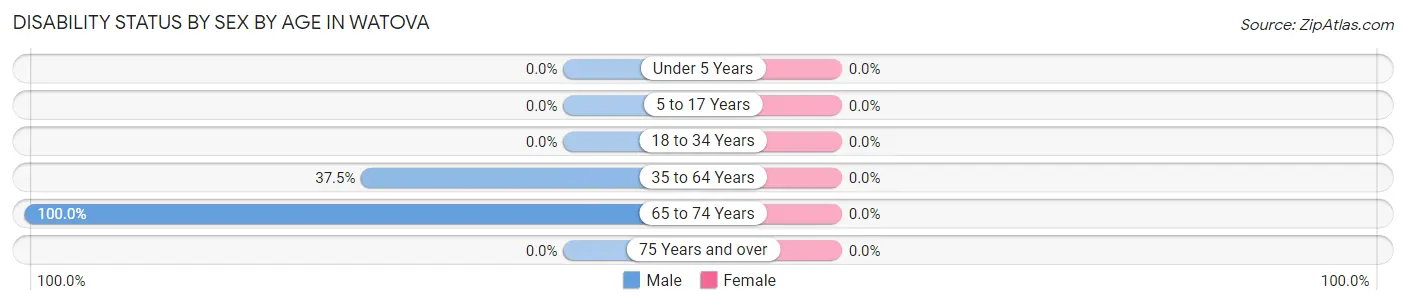 Disability Status by Sex by Age in Watova