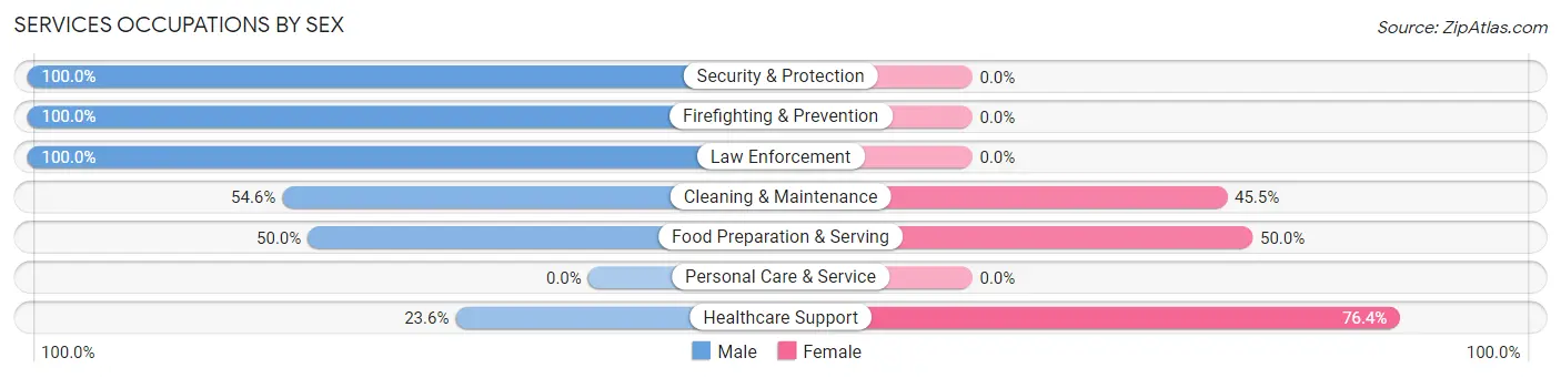 Services Occupations by Sex in Weleetka