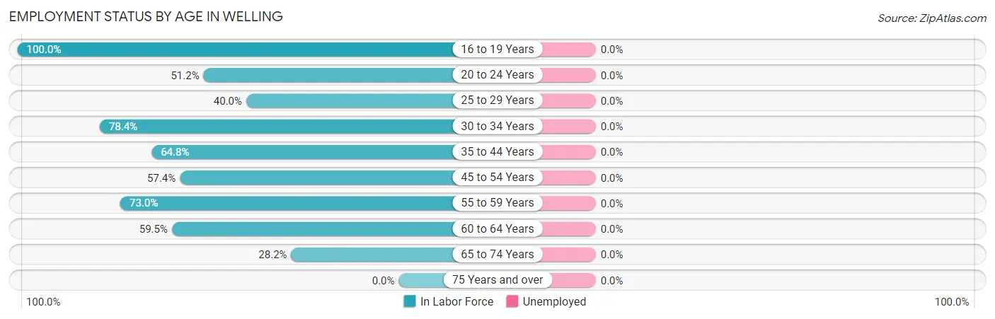 Employment Status by Age in Welling