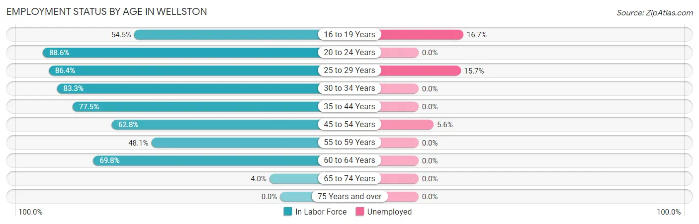Employment Status by Age in Wellston