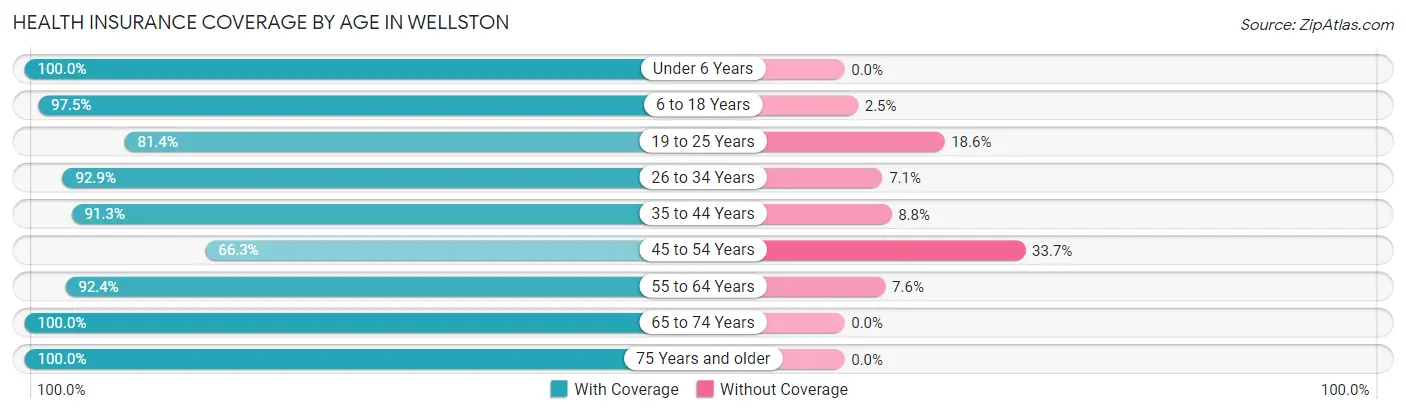 Health Insurance Coverage by Age in Wellston