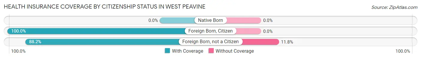 Health Insurance Coverage by Citizenship Status in West Peavine