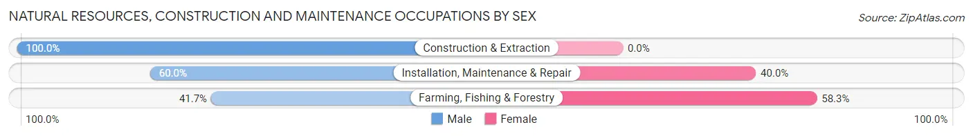 Natural Resources, Construction and Maintenance Occupations by Sex in Wetumka