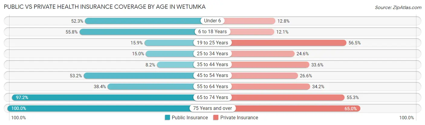 Public vs Private Health Insurance Coverage by Age in Wetumka