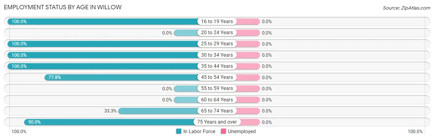 Employment Status by Age in Willow