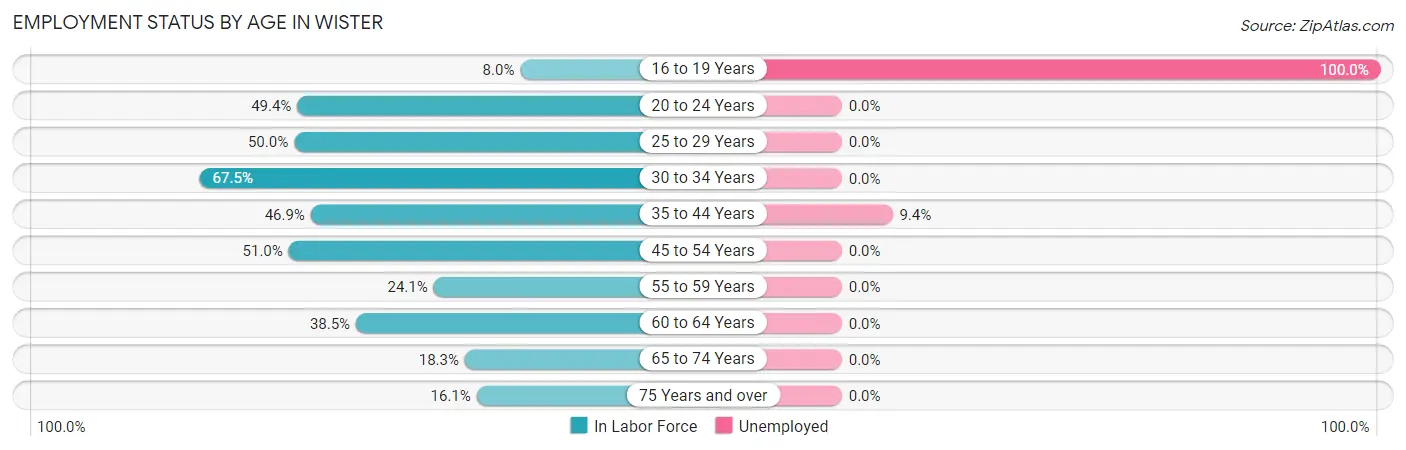 Employment Status by Age in Wister