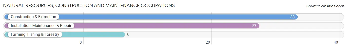 Natural Resources, Construction and Maintenance Occupations in Wister