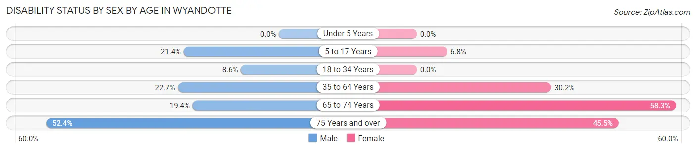 Disability Status by Sex by Age in Wyandotte