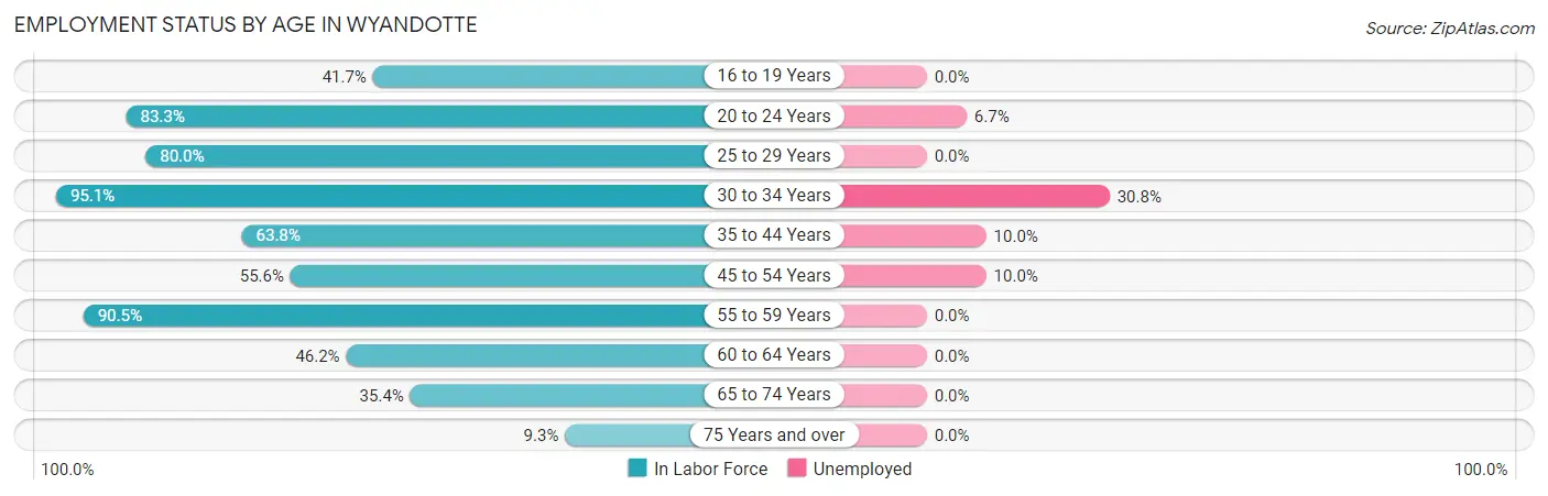Employment Status by Age in Wyandotte