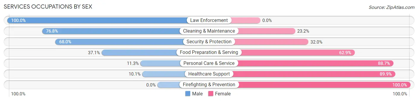 Services Occupations by Sex in Altamont