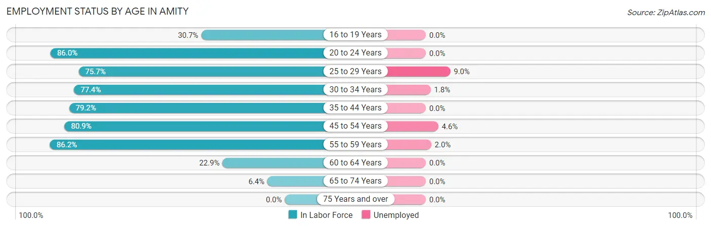 Employment Status by Age in Amity